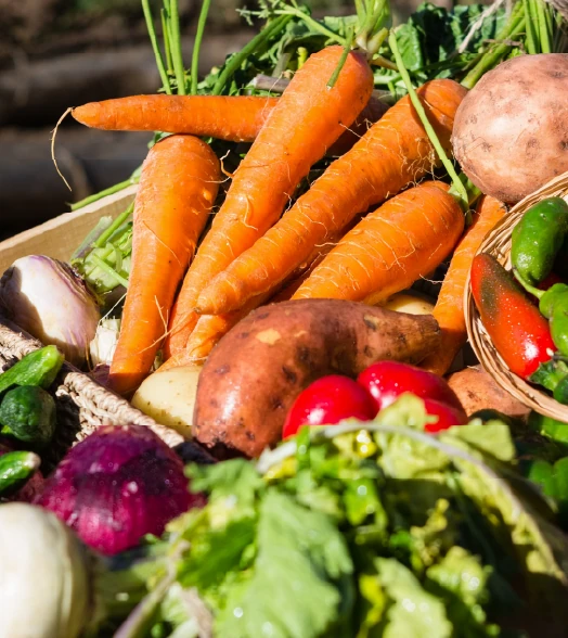 産直青果ボックス