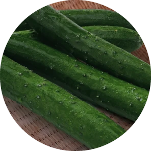 ブルームきゅうり