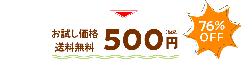 お試し価格 送料無料 500円（税込） 76%OFF